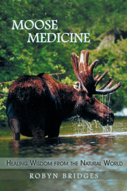 Moose Medicine book by Robyn Bridges